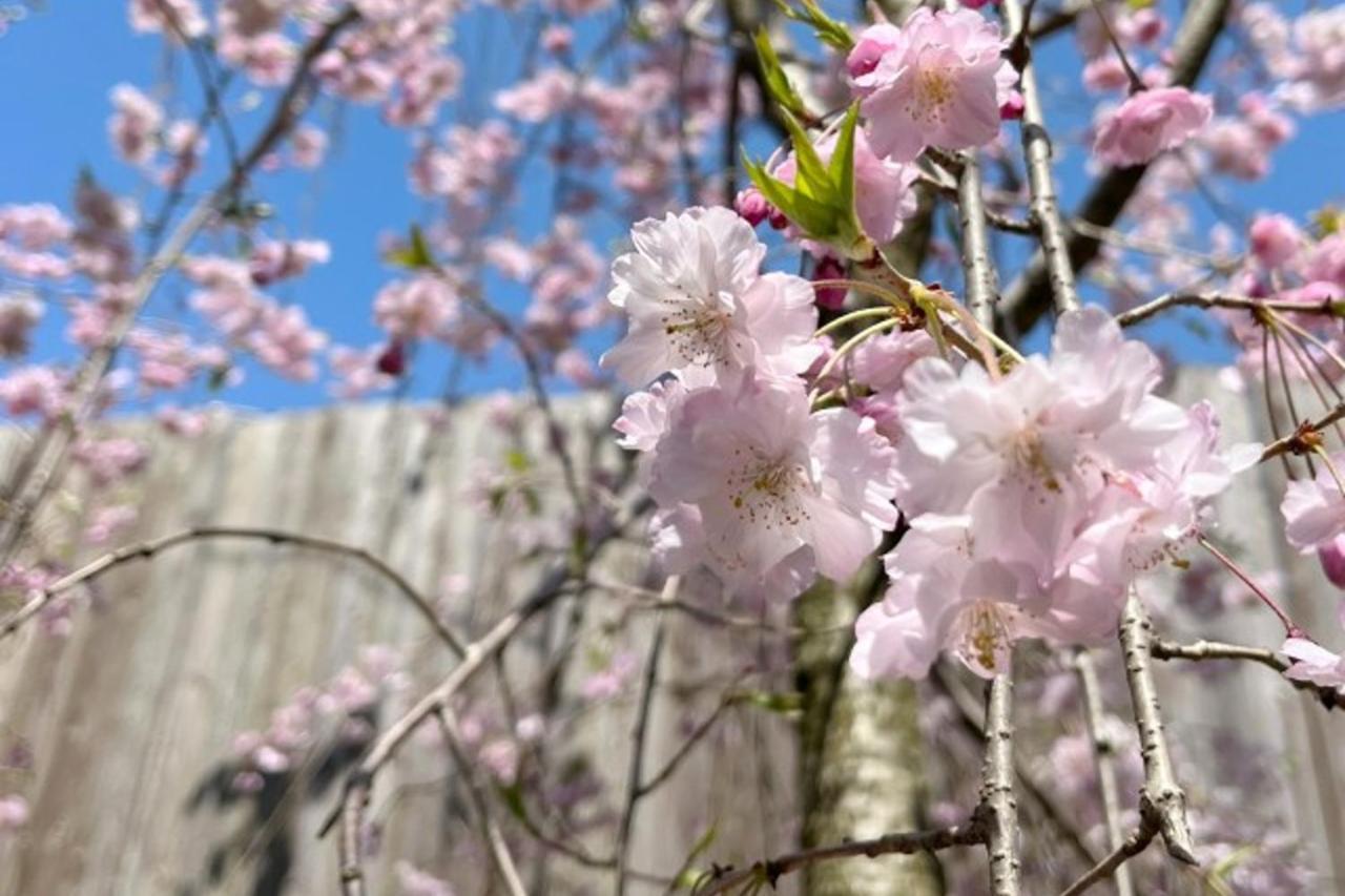 ホテル Machi No Odoriba 金沢市 エクステリア 写真